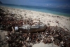 Costa del Pacífico de América Central, la más contaminada por botellas plásticas