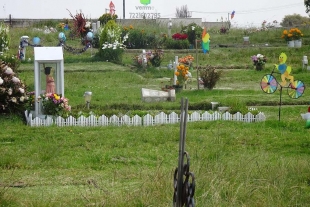 Floricultores mexiquenses en incertidumbre por cierre de panteones