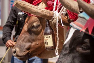 Habrá “Ley Seca” en Metepec durante la celebración de San Isidro Labrador