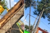 Piden quitar árbol  a punto de caer junto a escuela en San Pablo Autopan