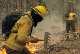 Llega a Chile ayuda internacional para combatir incendios