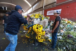 Los floricultores deben vender su cosecha lo más rápido posible, pues de lo contrario, se marchita y termina en la basura.
