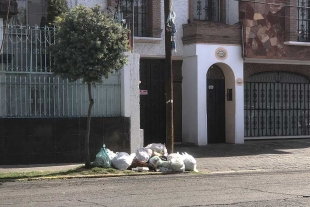 Foto: Alejandro Vargas