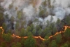 Arde México; Incendios forestales se duplicaron en tan sólo 24 horas