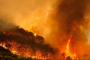 Situación crítica en España por incendios forestales