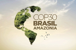 Representantes de la COP30 en Brasil aprobaron un documento final cuestionado por su falta de ambición y ausencia de compromisos sobre combustibles fósiles.