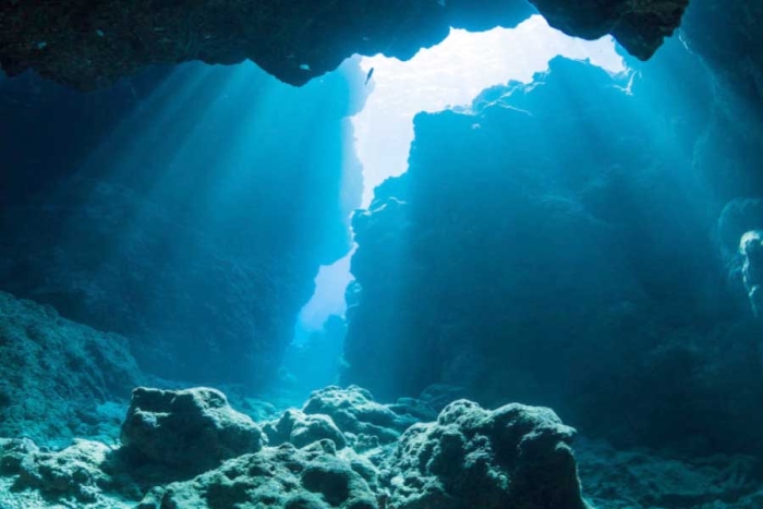 “La solución al cambio climático y otros problemas está en el fondo del mar”: UNESCO