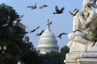 Investigan posible presencia de explosivos en el Capitolio