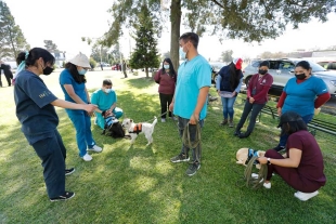 UAEMéx entre las tres mejores universidades de México en ciencia animal