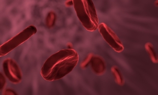Por primera vez, encuentran microplásticos en el torrente sanguíneo humano