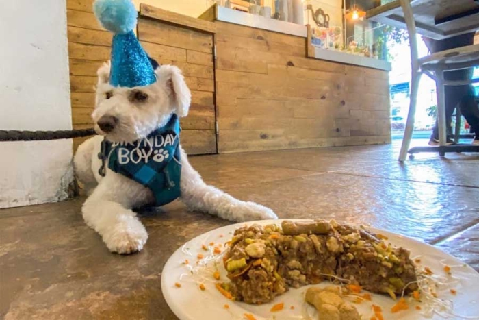 Greenway Polanco, el restaurante que festeja el cumpleaños de tu mascota