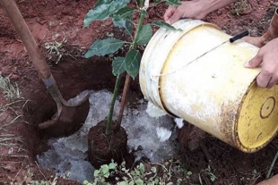 Lluvia Sólida, el invento mexicano que combate la sequía