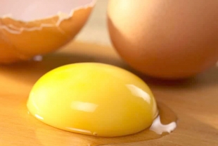 ¿Cuál es la parte más nutritiva del huevo, la clara o la yema?