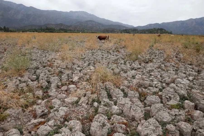 La sequía está afectando el 79.9% del territorio mexiquense: Conagua