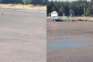 Desatienden lago en Parque Bicentenario de Metepec