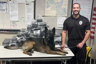 El olfato de un perro policía llamado “Storm” fue clave durante una reciente operación antidrogas