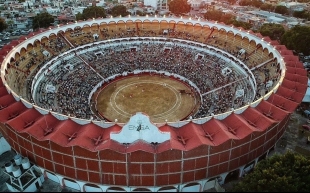 Juez dicta suspensión provisional a las corridas de toros en Guadalajara