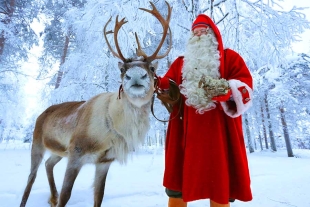 ¿Por qué los renos son los animales más representativos de la navidad? Aquí la historia