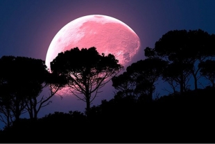 Luna rosa iluminará México; te explicamos qué es