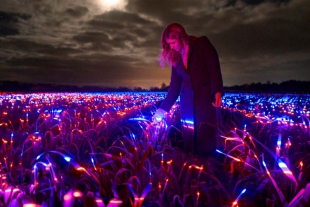 Los oníricos y luminiscentes campos de cultivo en Países Bajos