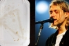 Basura usada por Kurt Cobain fue vendida por 22 mil 400 dólares