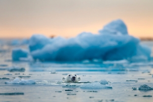 Cambio climático está elevando el nivel de los mares más rápido de lo que se creía