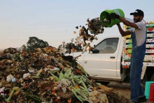Ya alistan la regulación para la disposición final de la basura a través de Centros de Compostaje