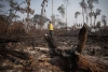 ¡Alarmante! Degradación en la Amazonia brasileña aumentó casi un 500%