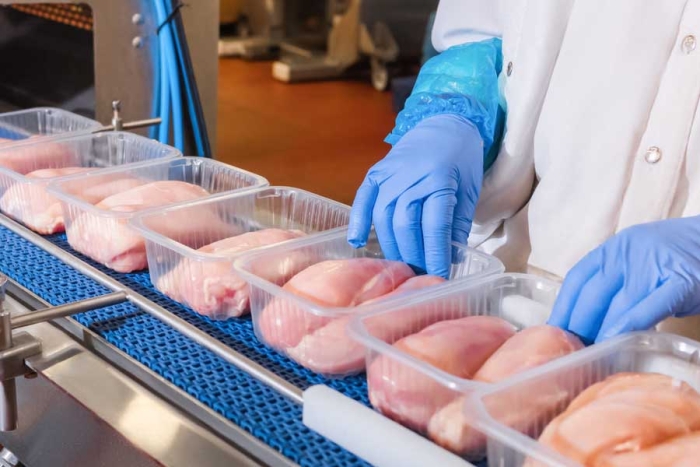 EU aprueba la venta de carne de pollo cultivada en laboratorio
