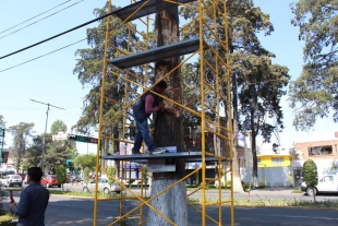 Renacen en arte arboles muertos en Paseo Colon