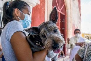 Así se vivió la bendición masiva de mascotas en honor a San Francisco de Asís