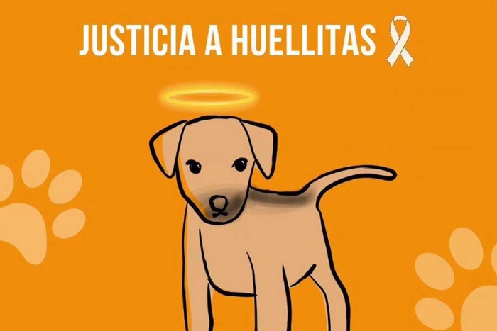 Caso “Huellitas”: joven que torturó y mató a perrito no será encarcelada