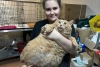 ¡Vuela alto, “kroshik”! Muere gatito de 17 kilos durante su rehabilitación
