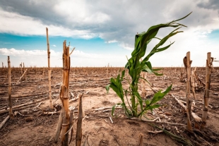Sequía en México; resultado del deterioro ecológico