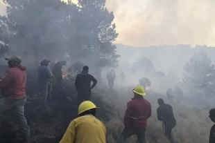 PROBOSQUE ofrece apoyo en la realización de quemas controladas