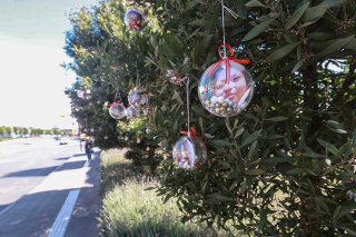 Las ausencias también cuelgan del árbol