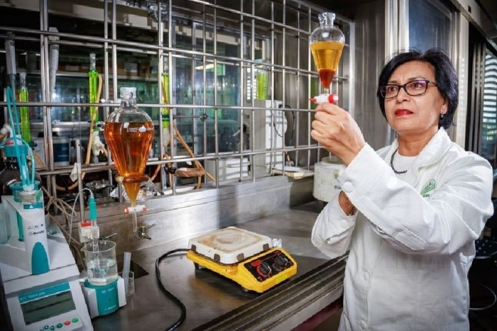 Mujeres en la ciencia: Rubí Romero, investigadora UAEMéx, obtuvo patente que facilita la obtención de biodiesel