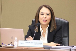 La consejera consideró que debió otorgarse un espacio más a una mujer en la fracción parlamentaria de Morena, 